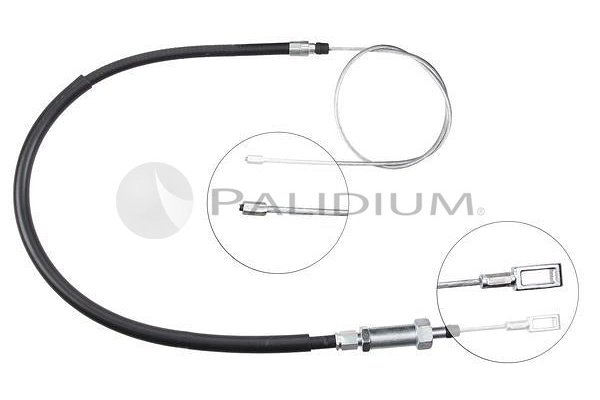 PAL3-1002