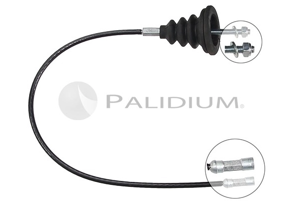 PAL3-1032