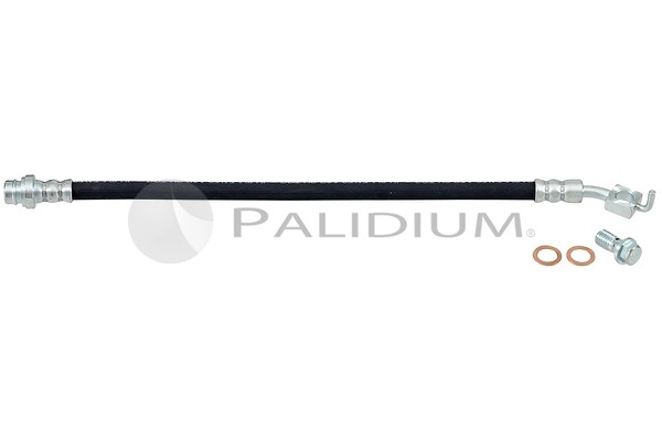 PAL3-0243