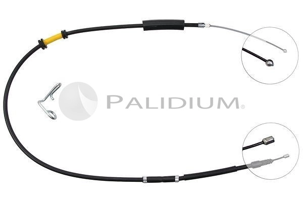 PAL3-1419