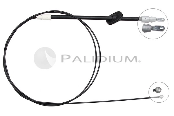 PAL3-1250