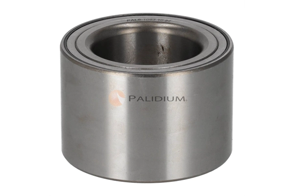 PAL6-1093