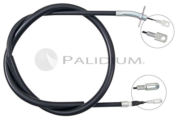 PAL3-1012