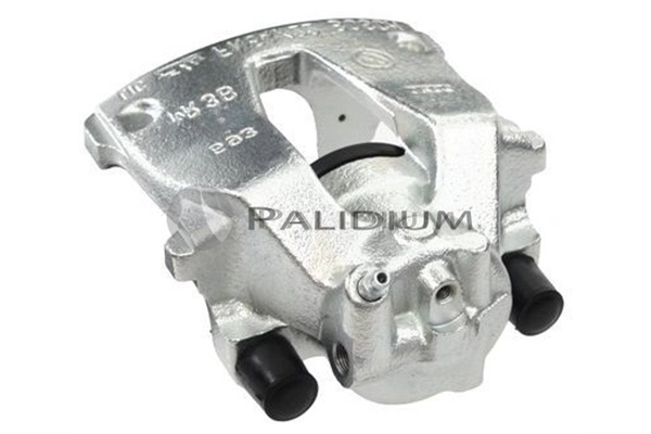 PAL4-1429