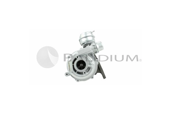 PAL20-0045
