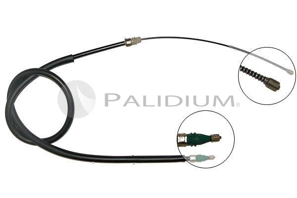 PAL3-1085