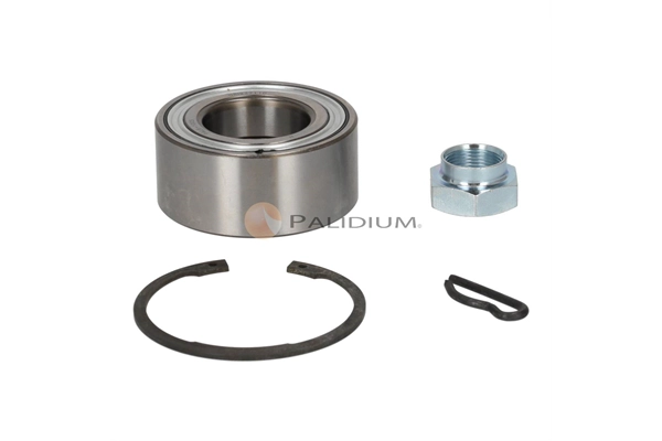 PAL6-1005