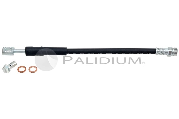 PAL3-0406