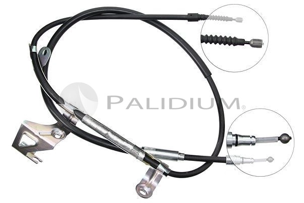 PAL3-1566