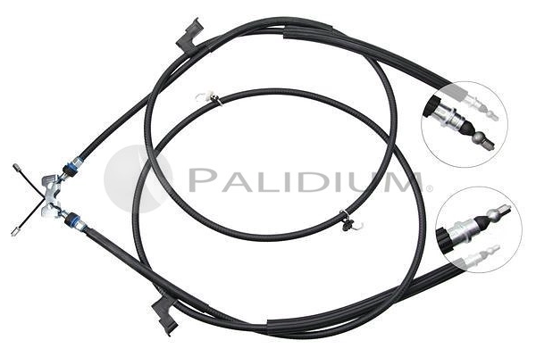 PAL3-1701