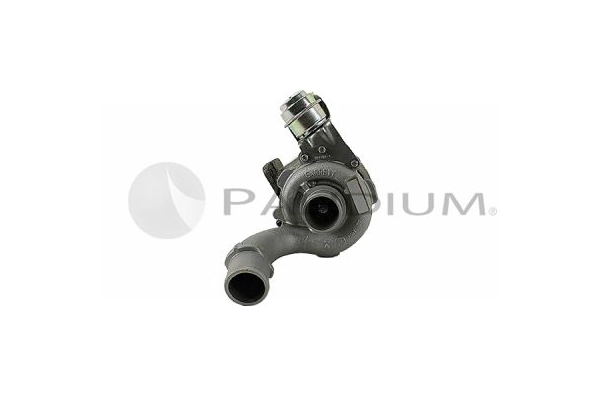 PAL20-0091
