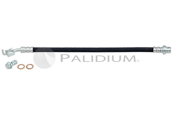 PAL3-0242