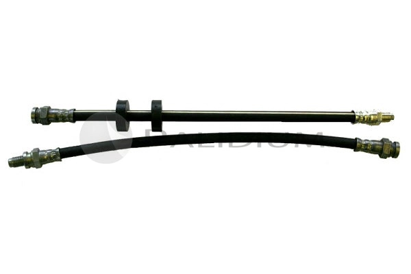PAL3-0250