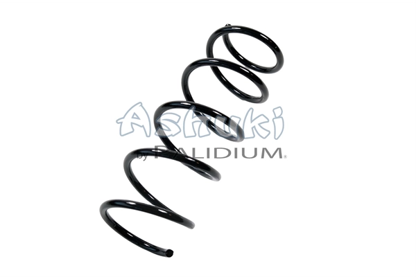 ASH10-0018