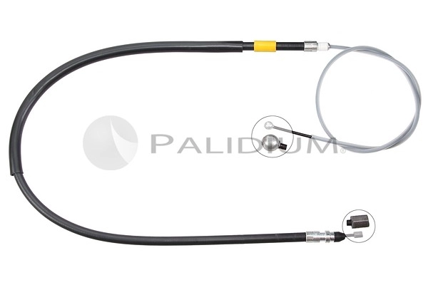 PAL3-1061