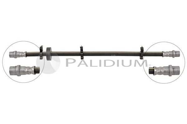 PAL3-0074