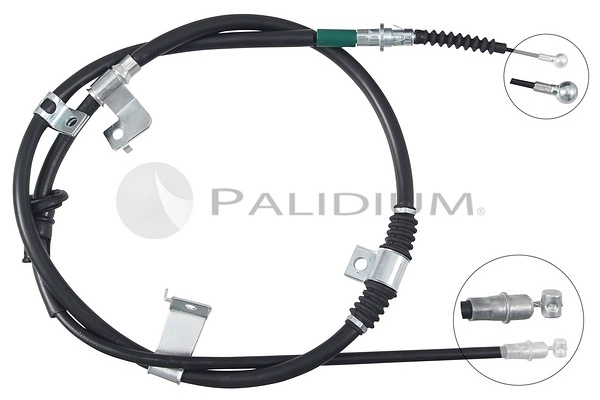 PAL3-1519