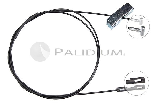 PAL3-1262