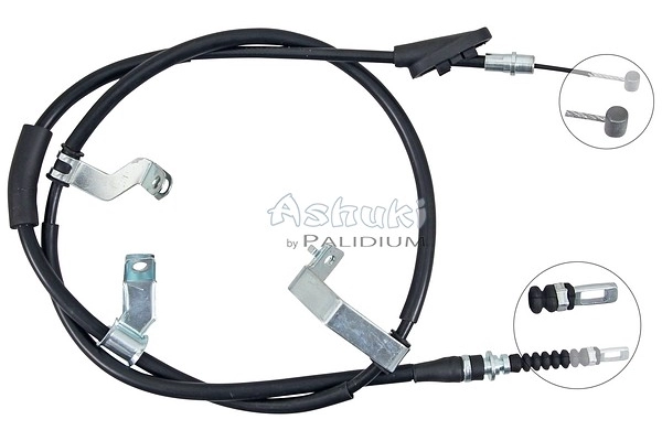 ASH3-1555