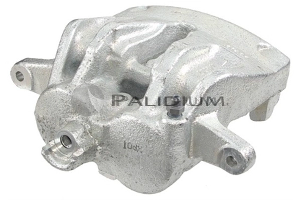 PAL4-2198