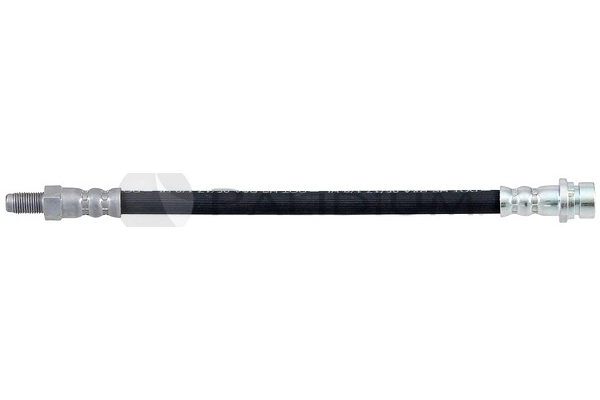 PAL3-0239
