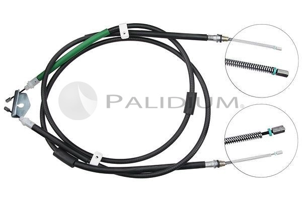 PAL3-1091
