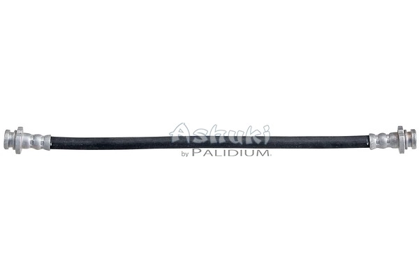 ASH3-0419