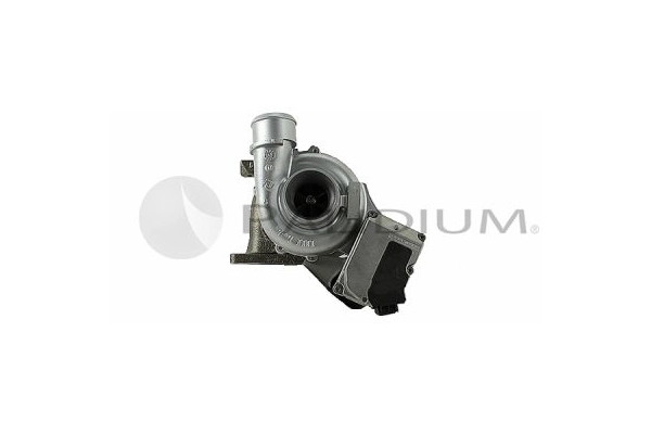PAL20-0088