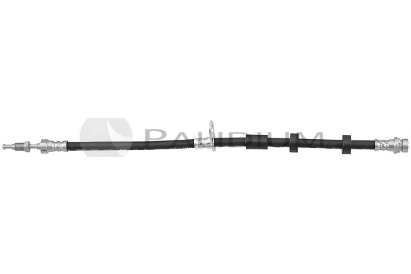 PAL3-0481