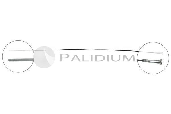 PAL3-1034