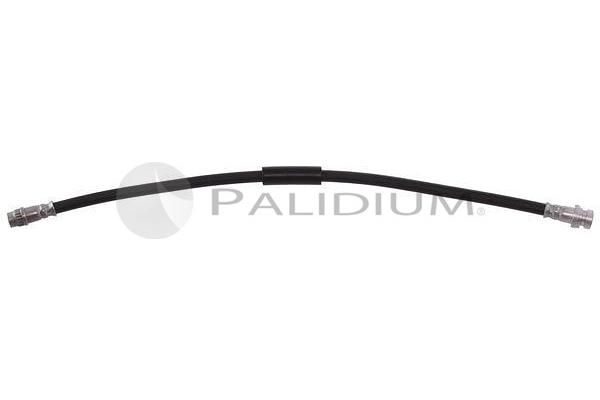 PAL3-0219