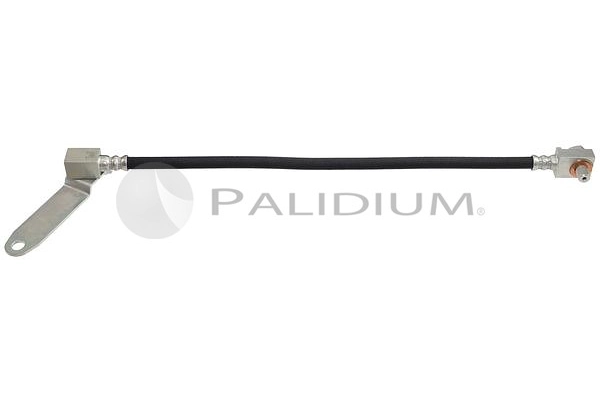 PAL3-0204