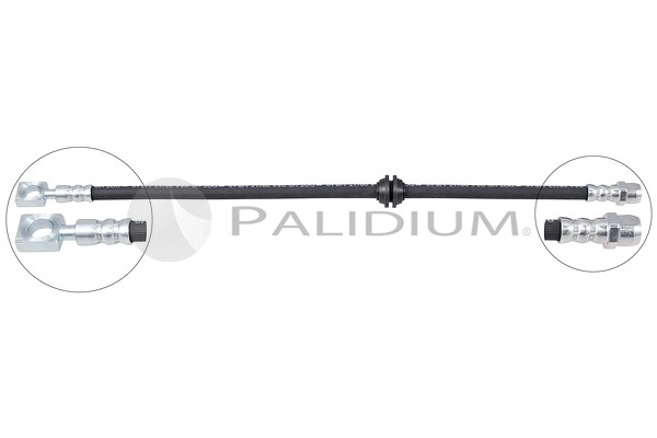 PAL3-0118