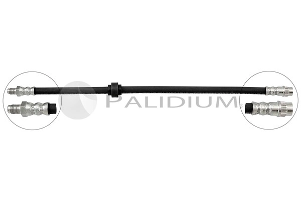 PAL3-0038