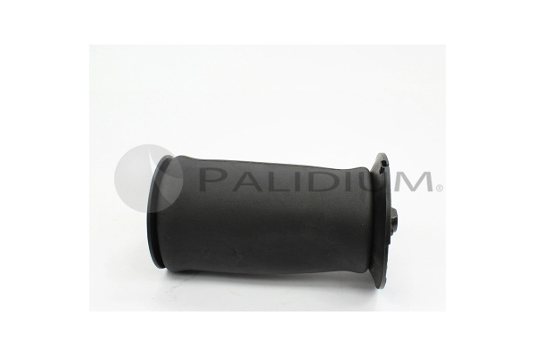 PAL10-5004