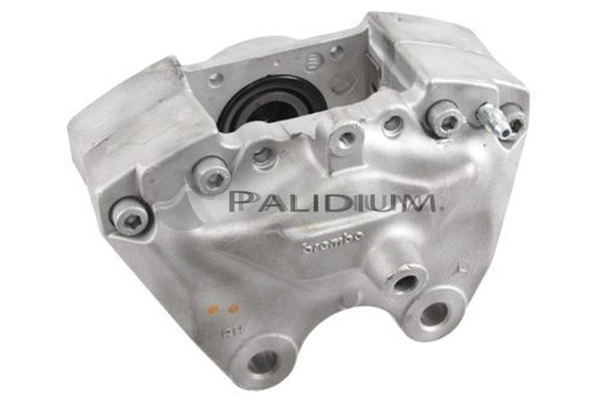 PAL4-1391
