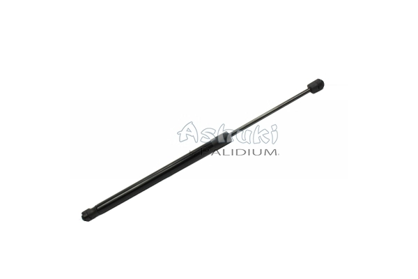 ASH21-0001