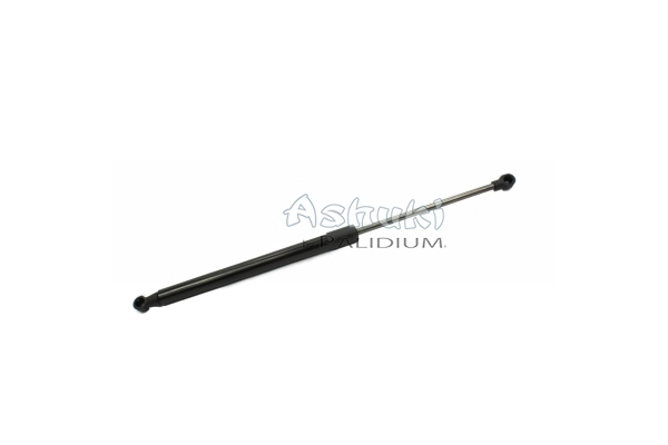 ASH21-0006