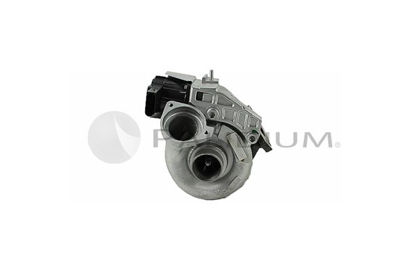 PAL20-0030