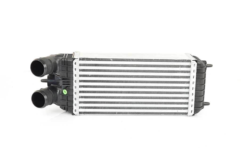 BSG 70-535-001