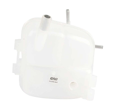 BSG65-550-001