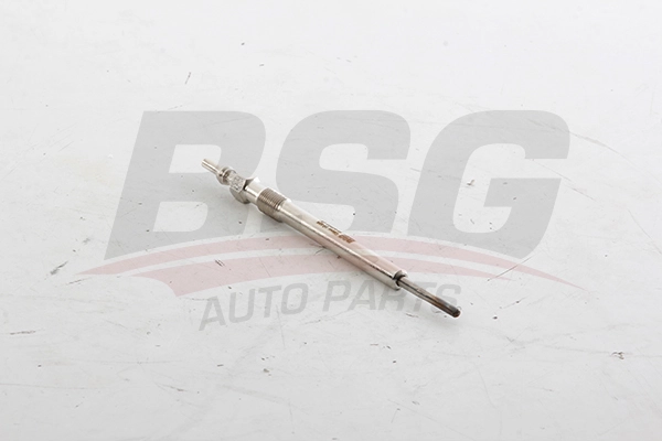 BSG 65-870-012