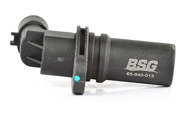 BSG 65-840-013