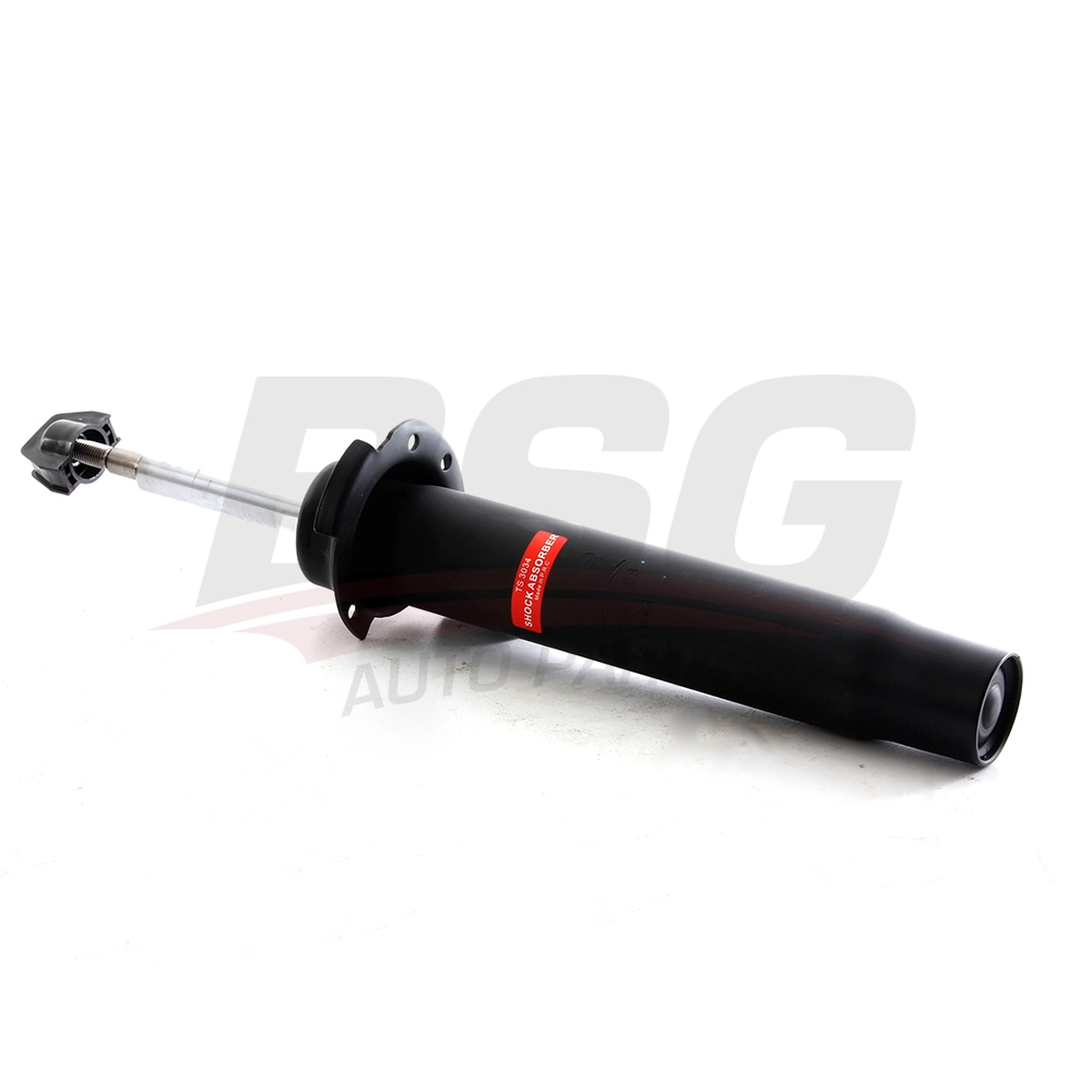 BSG 15-300-068