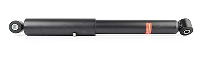 BSG 60-300-021