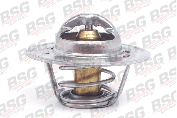 BSG 30-125-015