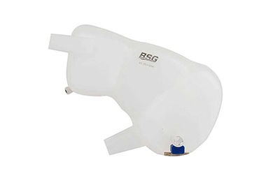 BSG 65-550-004