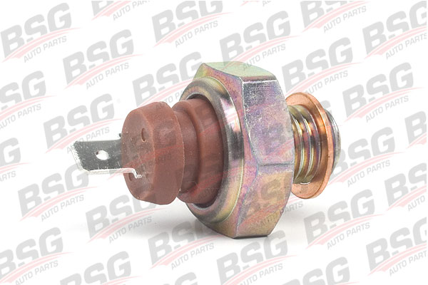 BSG 60-840-001