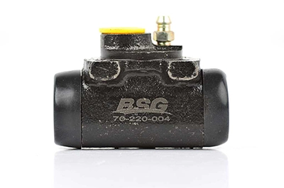 BSG 70-220-004