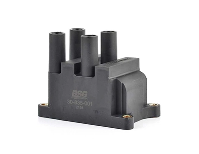 BSG 30-835-001